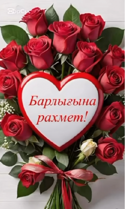 АЛҒЫС АЙТУ
